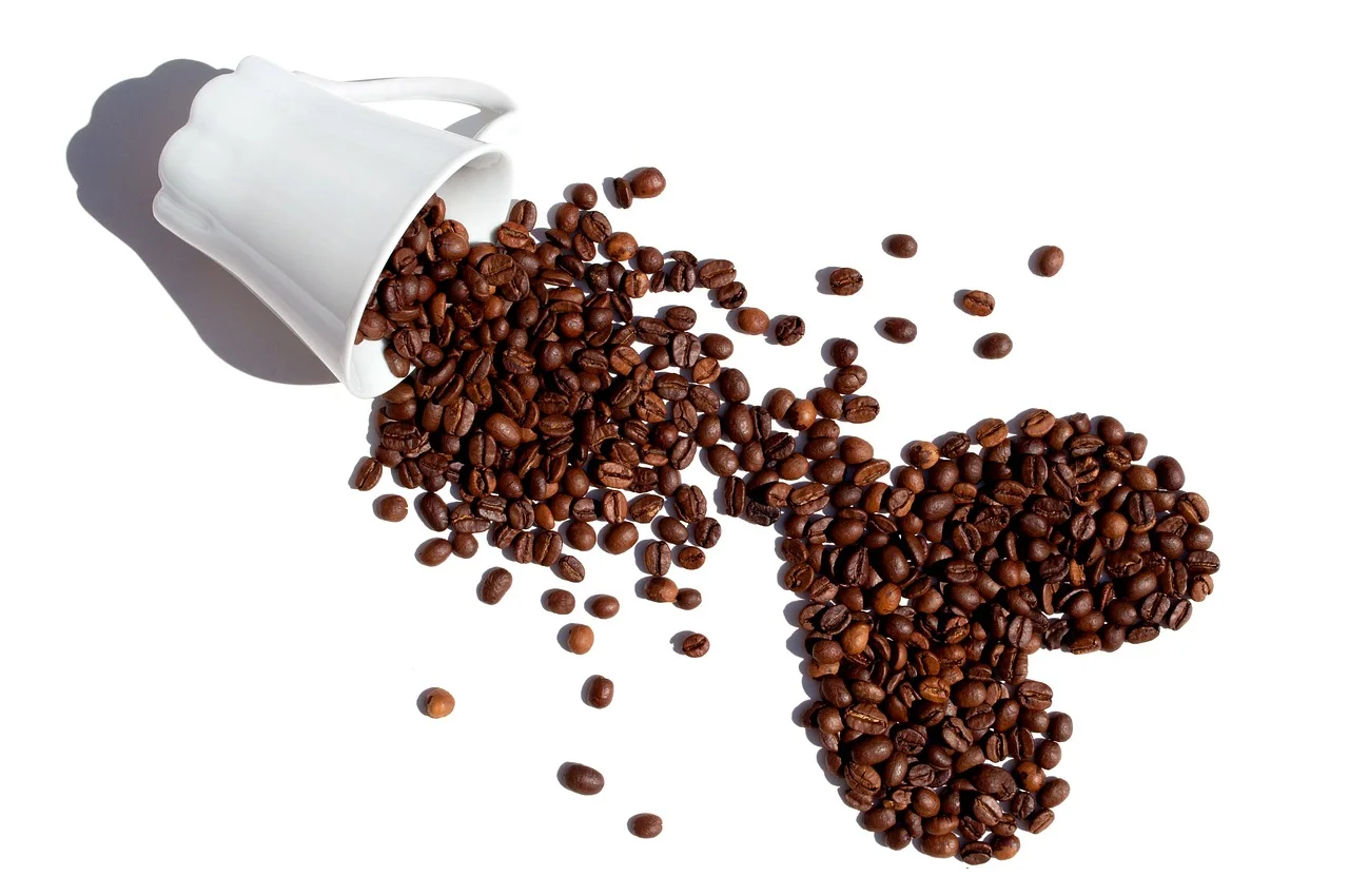 Gusto Ricco premium zrna kafe